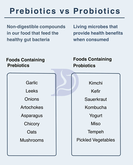 Probiotics Digestive And Liver Health Specialists